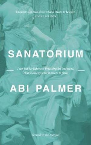 Cover for Abi Palmer · Sanatorium (Paperback Book) (2020)