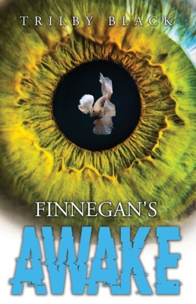 Cover for Trilby Black · Finnegan's Awake (Paperback Book) (2021)