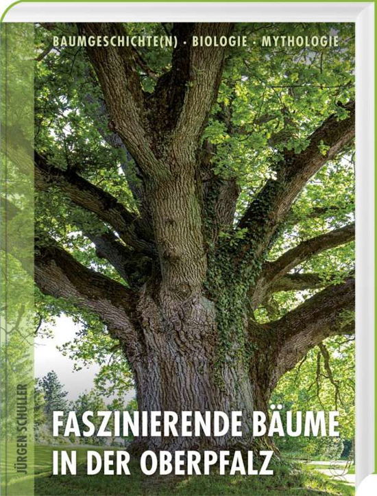 Cover for Schuller · Faszinierende Bäume in der Obe (Book)