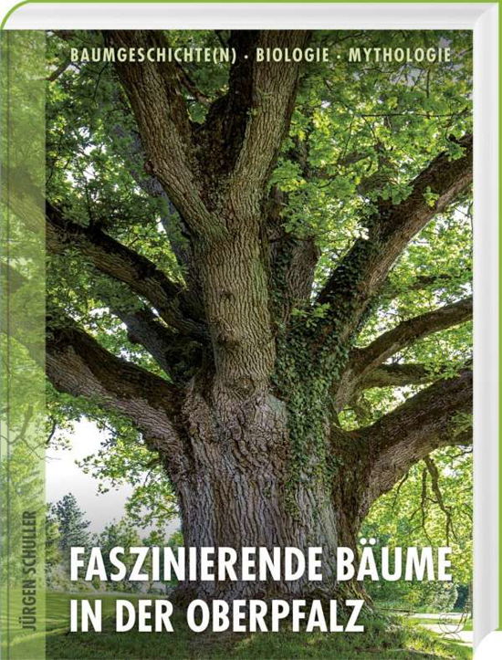 Cover for Schuller · Faszinierende Bäume in der Obe (Bok)