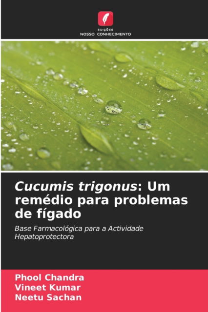 Cover for Phool Chandra · Cucumis trigonus: Um remedio para problemas de figado (Paperback Book) (2021)