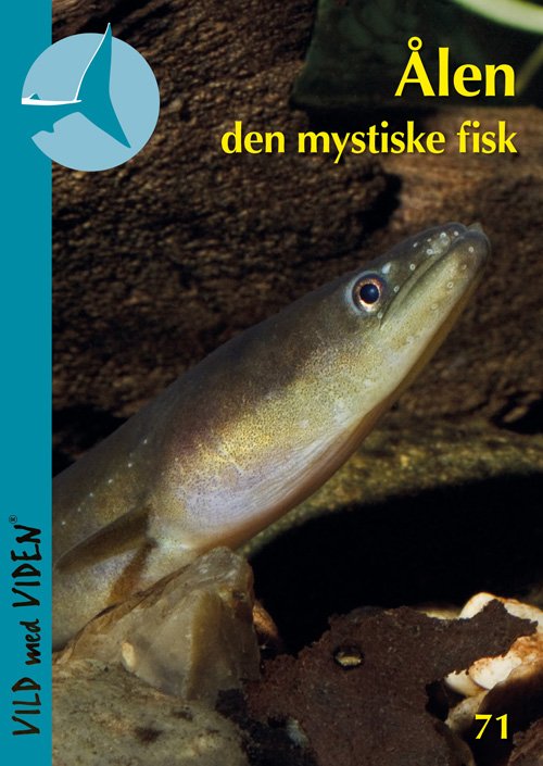 Vild med Viden, Serie 9 Danske vanddyr: Ålen  den mystiske fisk - Michael Ingemann Pedersen - Boeken - Epsilon.dk - 9788793064713 - 15 oktober 2018