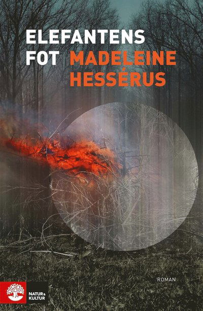 Cover for Madeleine Hessérus · Elefantens fot (ePUB) (2016)