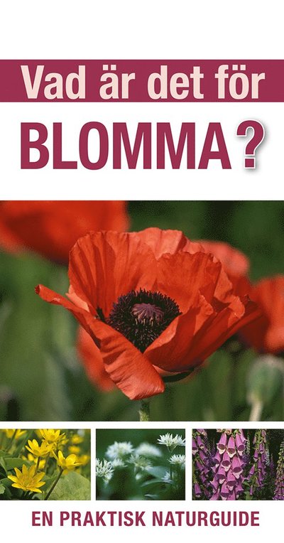 Cover for David Burnie · Vad är det för blomma? (Buch) (2023)