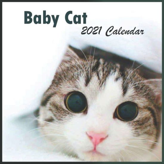 Cover for Red Print Calendar Ys · 2121 baby cats calendar (Paperback Book) (2020)