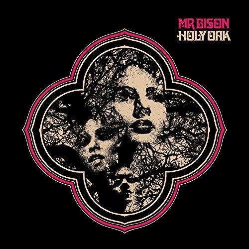 Cover for Mr. Bison · Holy Oak (CD)
