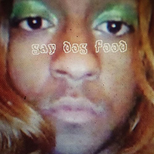 Cover for Mykki Blanco · Mykki Blanco presents Gay Dog Food (LP) (2016)