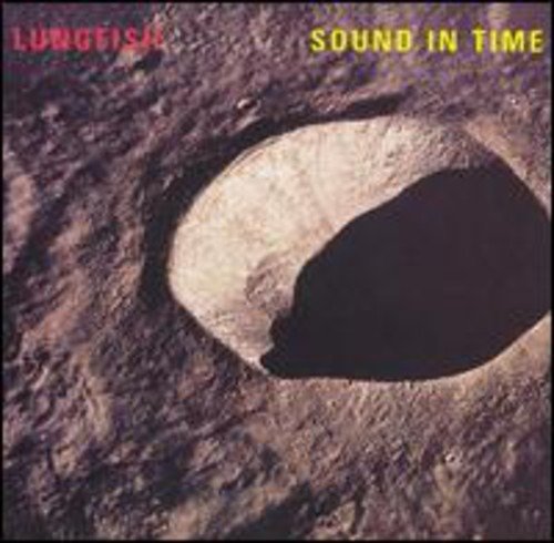 Cover for Lungfish · Sound in Time (LP) [Reissue edition] (1996)