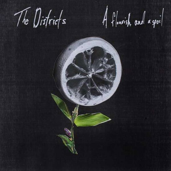 A Flourish and a Spoil - The Districts - Musik - ALTERNATIVE ROCK - 0767981149714 - 10. februar 2015