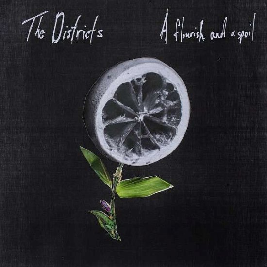Cover for The Districts · A Flourish and a Spoil (LP) (2015)