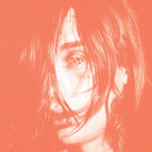 Cover for Deerhunter · Microcastle (LP) (2008)