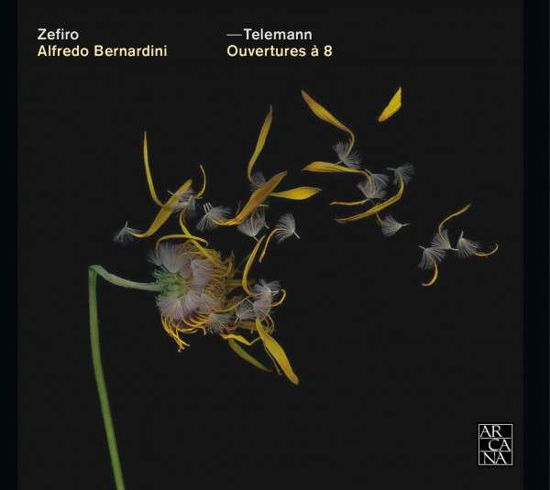 Cover for Zefiro Baroque Orchestra · Telemann / Overtures A 8 For 3 Oboes Bass (CD) (2013)