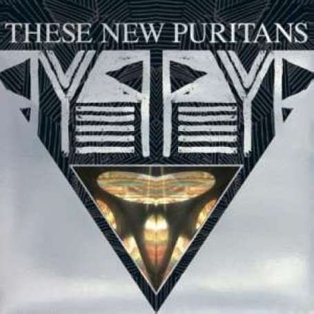 Cover for These New Puritans · Beat Pyramid (LP) (2008)