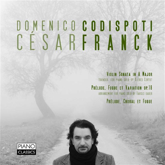 Preludes Violin Transcription - Cesar Franck - Musik - PIANO CLASSICS - 5065001863714 - 30. Juli 2013
