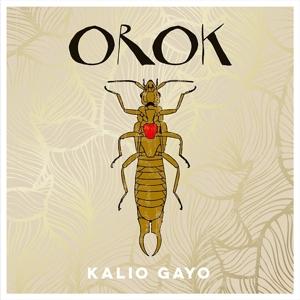 Orok - Kalio Gayo - Muzyka - SELF RELEASE - 8712618001714 - 23 lutego 2017