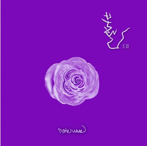 Cover for Boohwal · Purple Wave (CD) (2012)