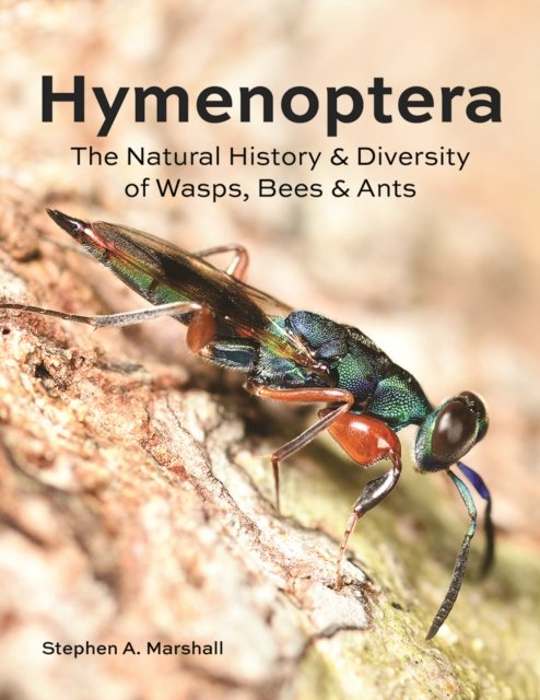Cover for Stephen A Marshall · Hymenoptera: The Natural History and Diversity of Wasps, Bees and Ants (Hardcover Book) (2023)