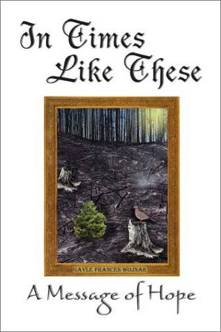 Cover for Gayle Frances Wojnar · In Times Like These: a Message of Hope (Paperback Book) (2002)