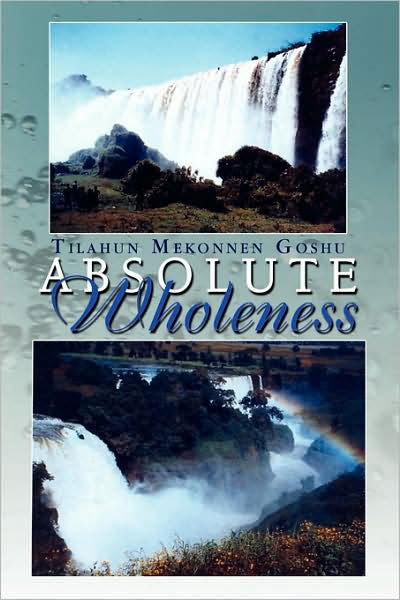 Cover for Tilahun Mekonnen Goshu · Absolute Wholeness (Taschenbuch) (2008)