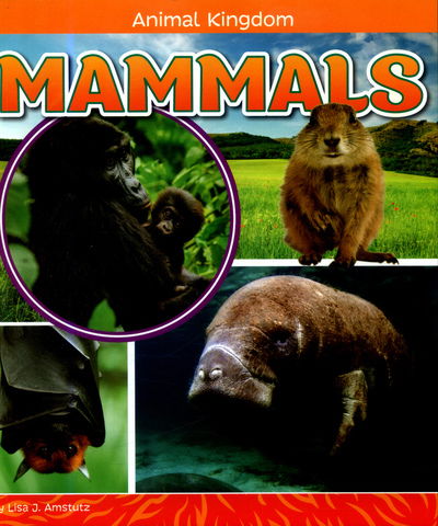 Mammals - Animal Kingdom - Lisa J. Amstutz - Books - Capstone Global Library Ltd - 9781474734714 - June 28, 2018