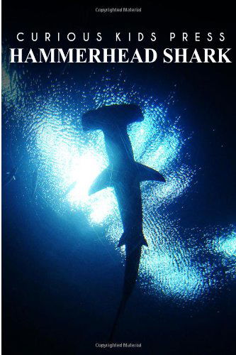 Cover for Curious Kids Press · Hammerhead Shark - Curious Kids Press: Kids Book About Animals and Wildlife, Children's Books 4-6 (Paperback Book) (2014)