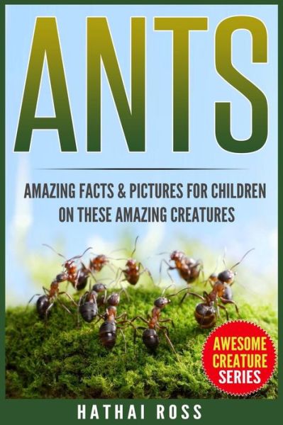 Cover for Hathai Ross · Ants (Paperback Book) (2017)