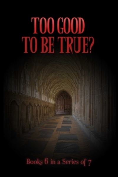 Cover for Tnt · Too Good To Be True? (Paperback Bog) (2017)