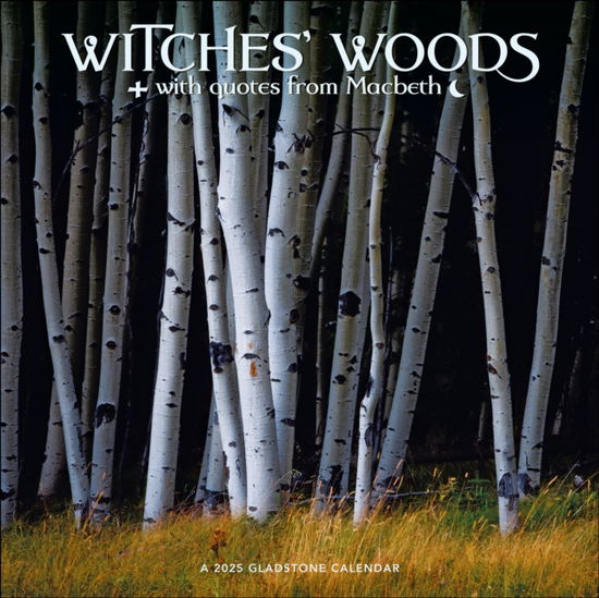 Cover for Gladstone Media · Witches' Woods Square Wall Calendar 2025 (Taschenbuch) (2024)