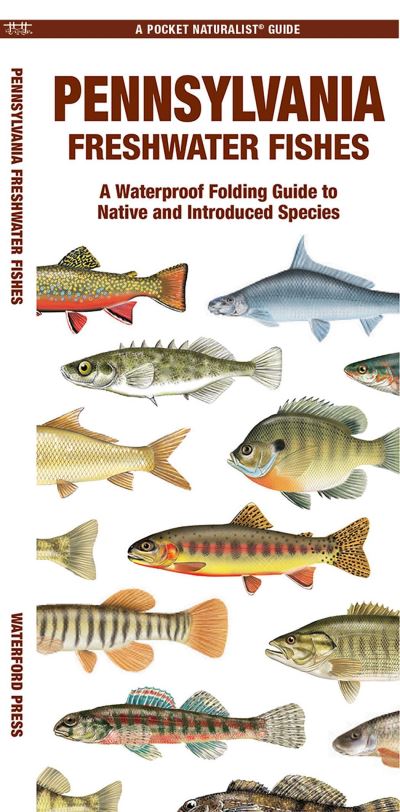 Cover for Waterford Press Waterford Press · Pennsylvania Freshwater Fishes: A Folding Guide to Native and Introduced Species - Pocket Naturalist Guides (Taschenbuch) (2024)