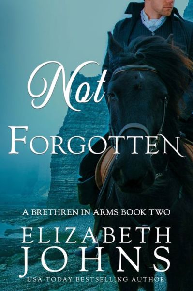 Cover for Elizabeth Johns · Not Forgotten (Bok) (2019)