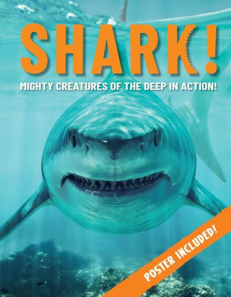 Cover for Paul Mason · Shark!: Mighty Creatures of the Deep in Action (Pocketbok) (2022)