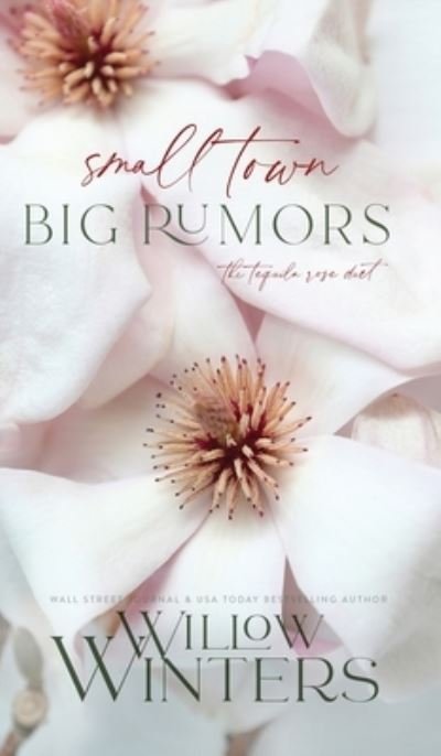 Cover for Willow Winters · Small Town Big Rumors (Gebundenes Buch) (2022)
