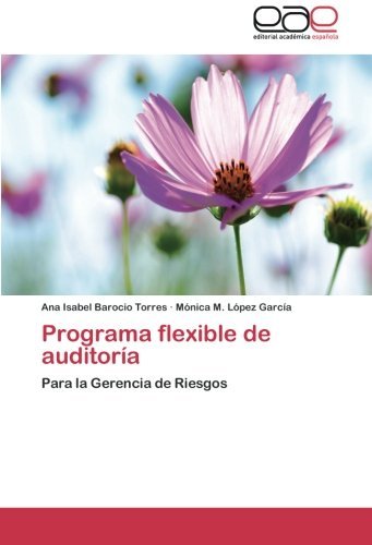 Programa Flexible De Auditoría: Para La Gerencia De Riesgos - Mónica M. López García - Books - Editorial Académica Española - 9783659003714 - July 21, 2014