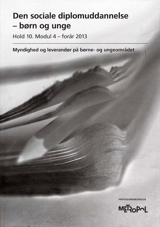 Cover for Metropol · Den sociale diplomuddannelse - børn og unge, hold 10, modul 4 - forår 2013 (Paperback Book) [1. Painos] (2013)