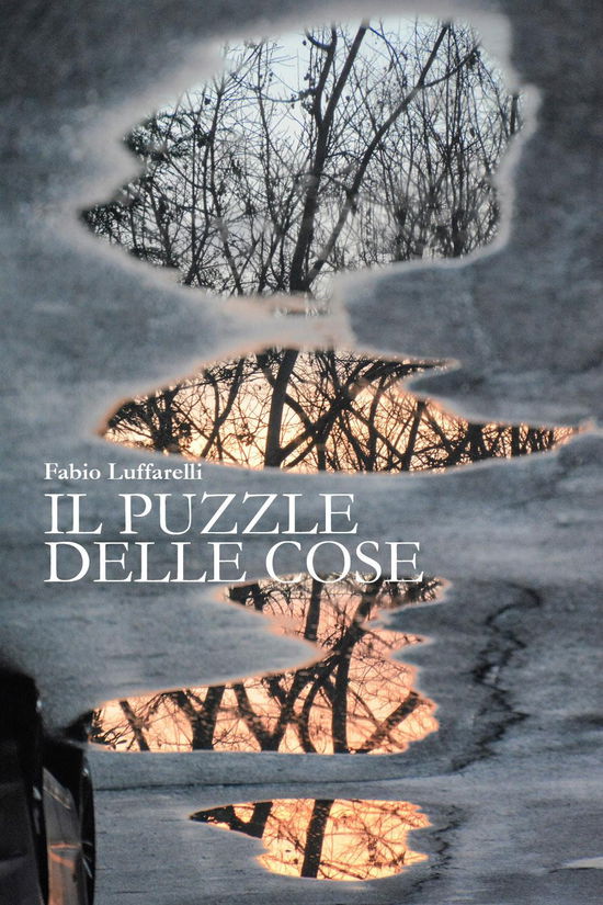 Cover for Fabio Luffarelli · Il Puzzle Delle Cose (Book)