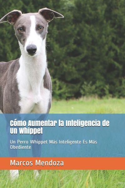 Cover for Marcos Mendoza · Como Aumentar la Inteligencia de Un Whippet: Un Perro Whippet Mas Inteligente Es Mas Obediente (Pocketbok) (2021)