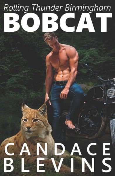 Bobcat - Candace Blevins - Boeken - Independently Published - 9798633740714 - 3 april 2020