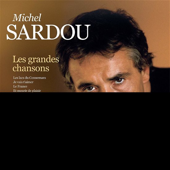 Cover for Michel Sardou · Les Grandes Chansons (LP) (2018)