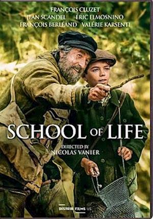 Cover for School of Life (DVD) (2019)