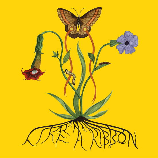 Like a Ribbon Three Eps - John Glacier - Music - YOUNG - 0889030038715 - February 14, 2025