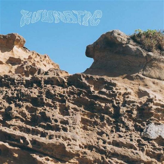 Cover for Kuunatic · Gate Of Kluna (LP) (2021)