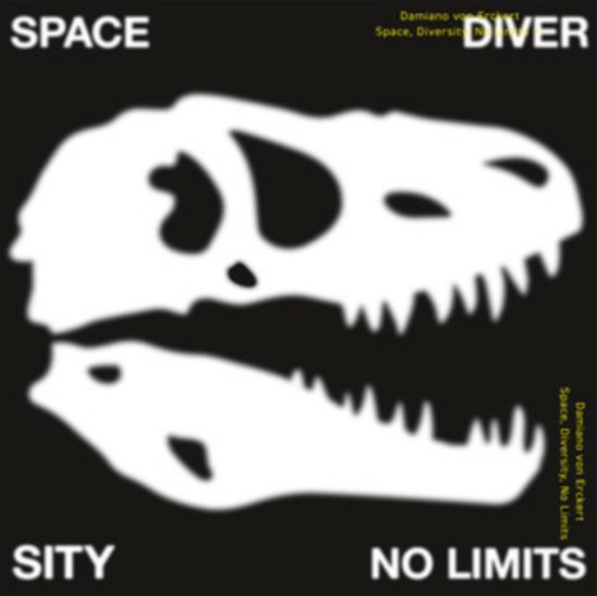 Cover for Damiano Von Erckert · Space/ Diversity/ No Limits (LP) (2021)