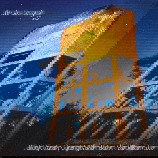 Cover for Mikolaj Trzaska &amp; Ingebrigt Haker Flaten &amp; Paal Nilssen-Love · The Last Temple vol.3 (LP) (2024)