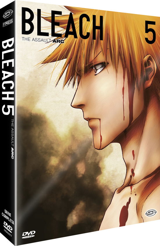 Bleach - Arc 5: The Assault (Eps92-109 (3 Dvd) - Noriyuki Abe - Film -  - 8019824924715 - 29. juli 2022