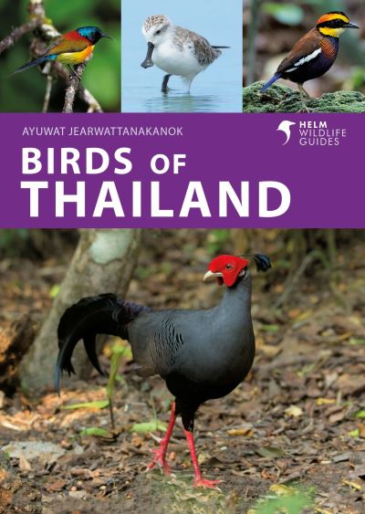 Cover for Ayuwat Jearwattanakanok · Birds of Thailand - Helm Wildlife Guides (Paperback Book) (2024)