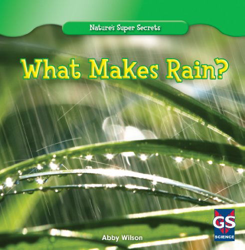 Cover for Abby Wilson · What Makes Rain? (Nature's Super Secrets) (Paperback Book) (2013)