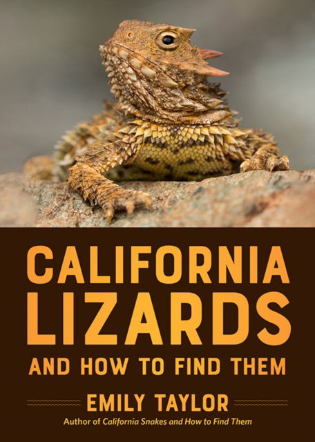 Cover for Emily Taylor · California Lizards and How to Find Them (Paperback Book) (2025)