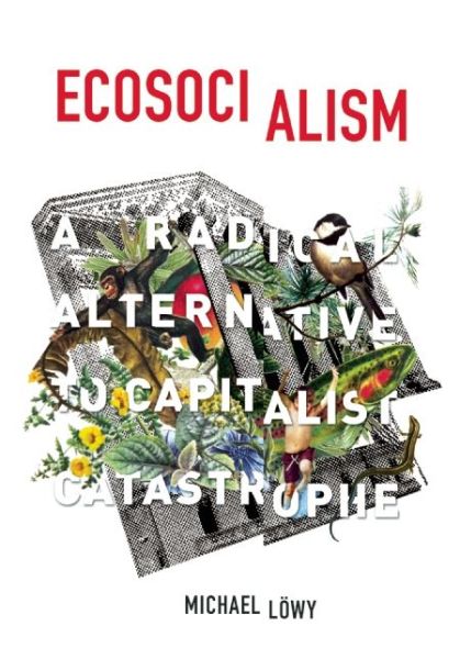 Cover for Michael Lowy · Ecosocialism: A Radical Alternative to Capitalist Catastrophe (Paperback Book) (2015)