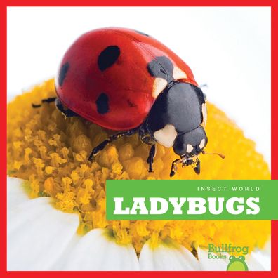 Cover for Mari C Schuh · Ladybugs (Paperback Book) (2013)