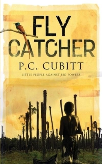 Cover for P C Cubitt · Fly Catcher (Paperback Book) (2021)